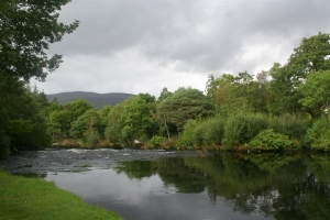 River Upper Carragh (Dromdoory)