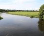 River Slaney (Enniscorthy)